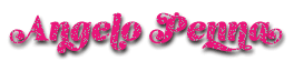 株式会社Angelo Penna